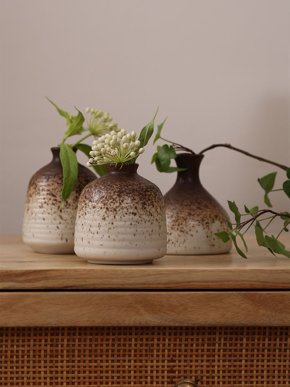 Earth Ceramic Vases, Set of 3