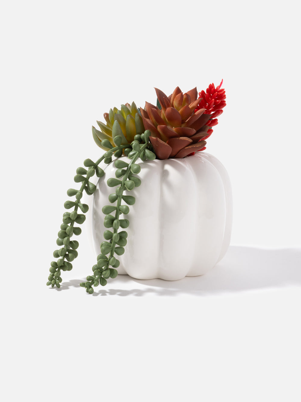 ARTIFICAL PLANT FELIX 6.2IN