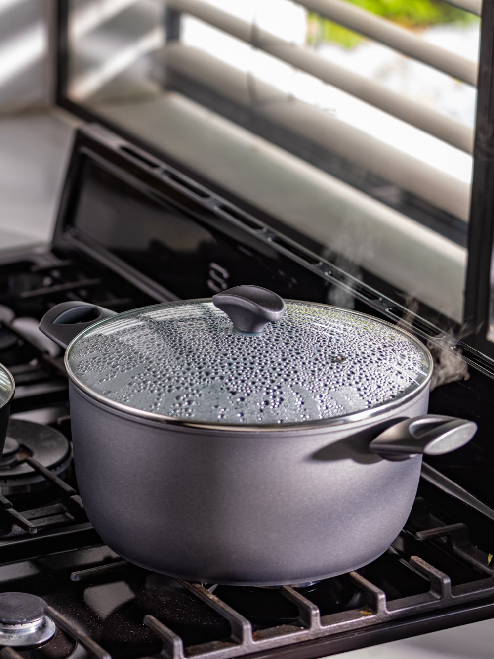 Elementi Non-Stick Pot 11" | 8Qt | With Lid