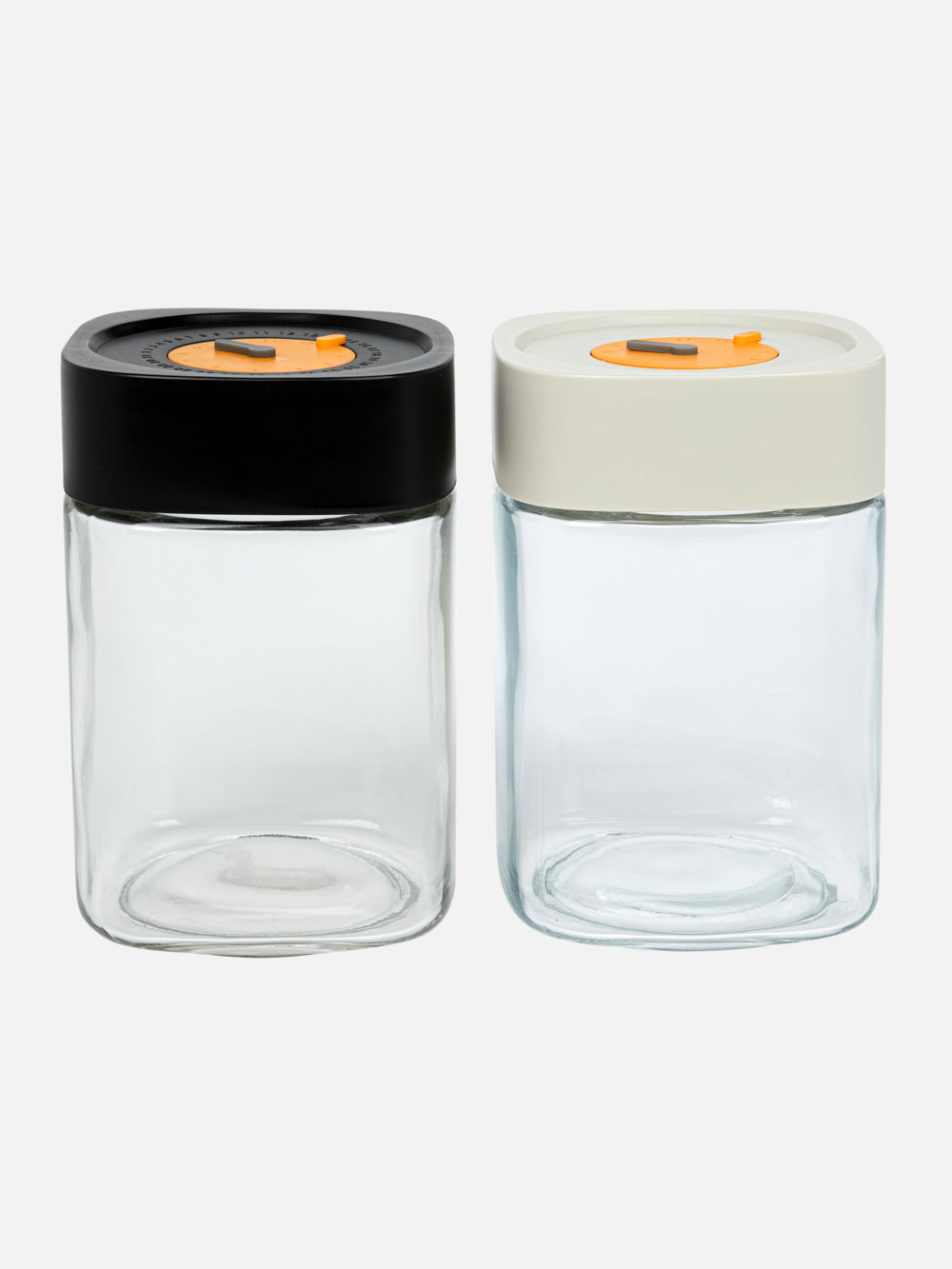 Large Daily Storage Container with Lid, 10 x 15.5 cm