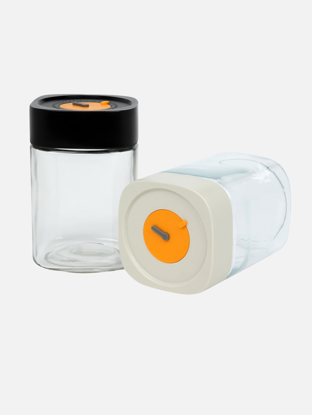 Large Daily Storage Container with Lid, 10 x 15.5 cm