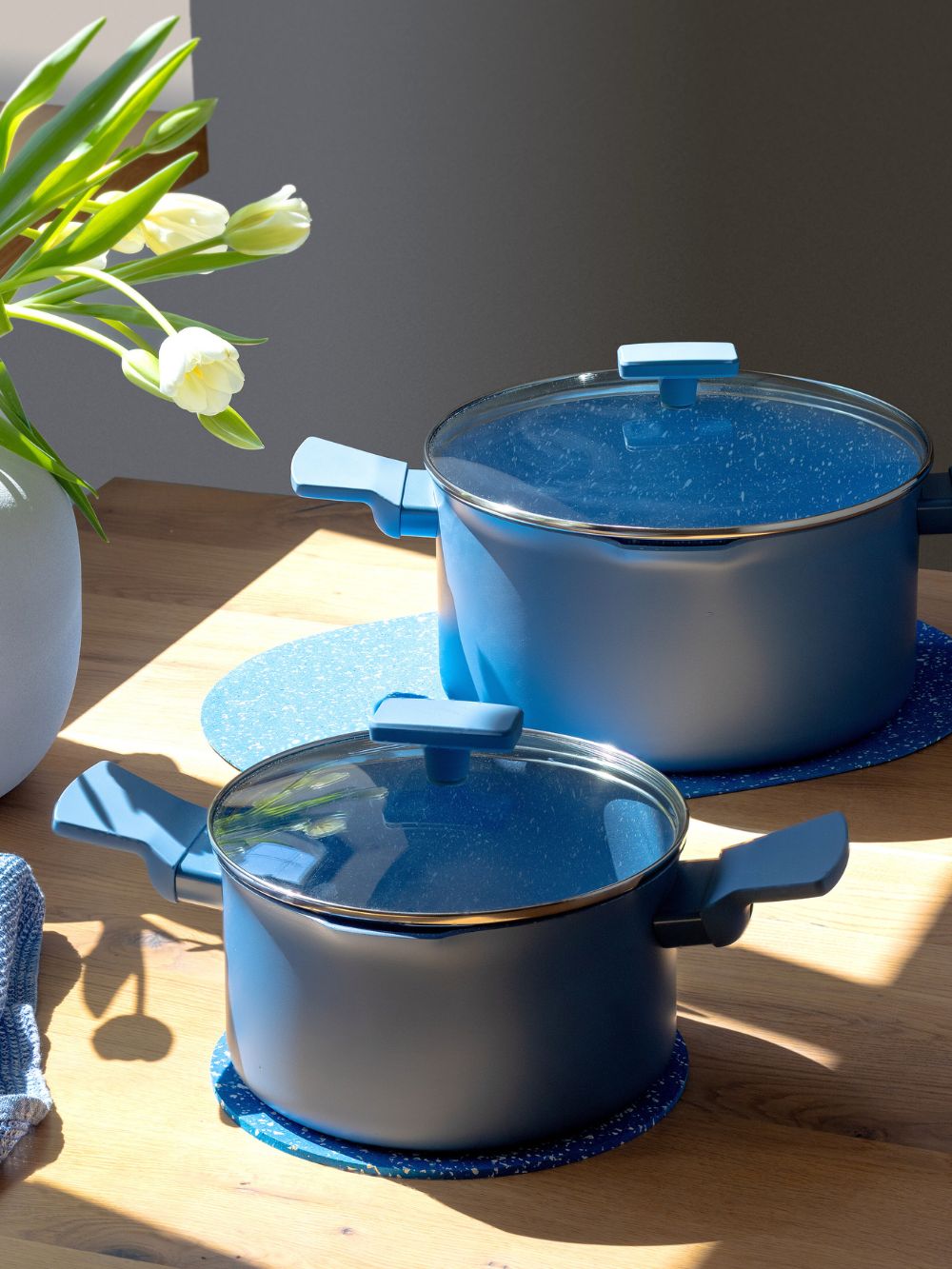 Lucia Nonstick Pot 10.2"
