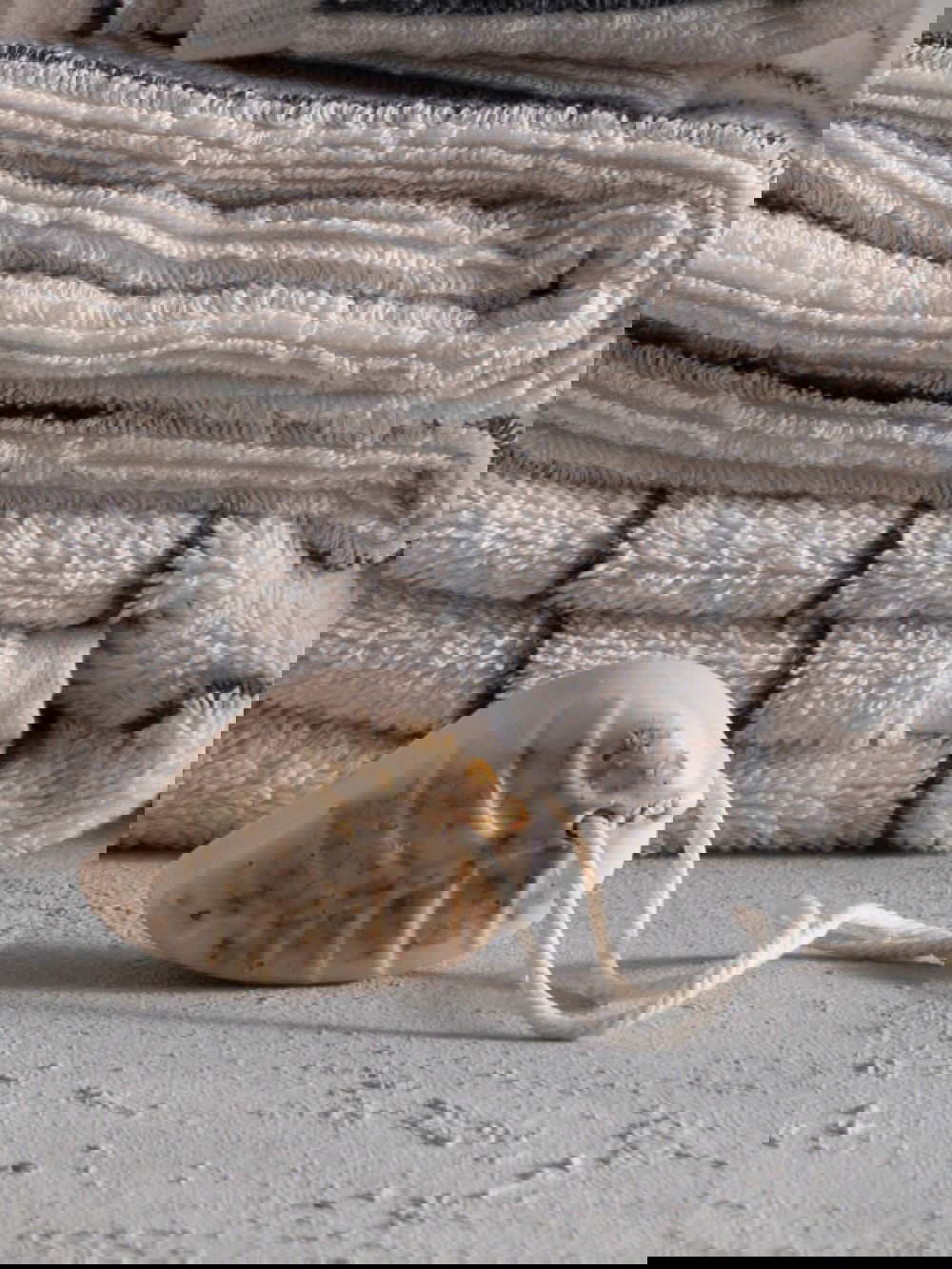 Leaf Soap Bar - FOX HOME CANADA