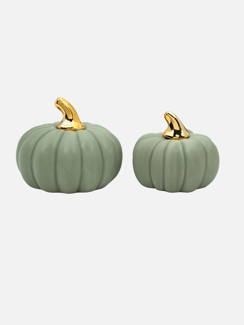 PUMPKIN S GRACE