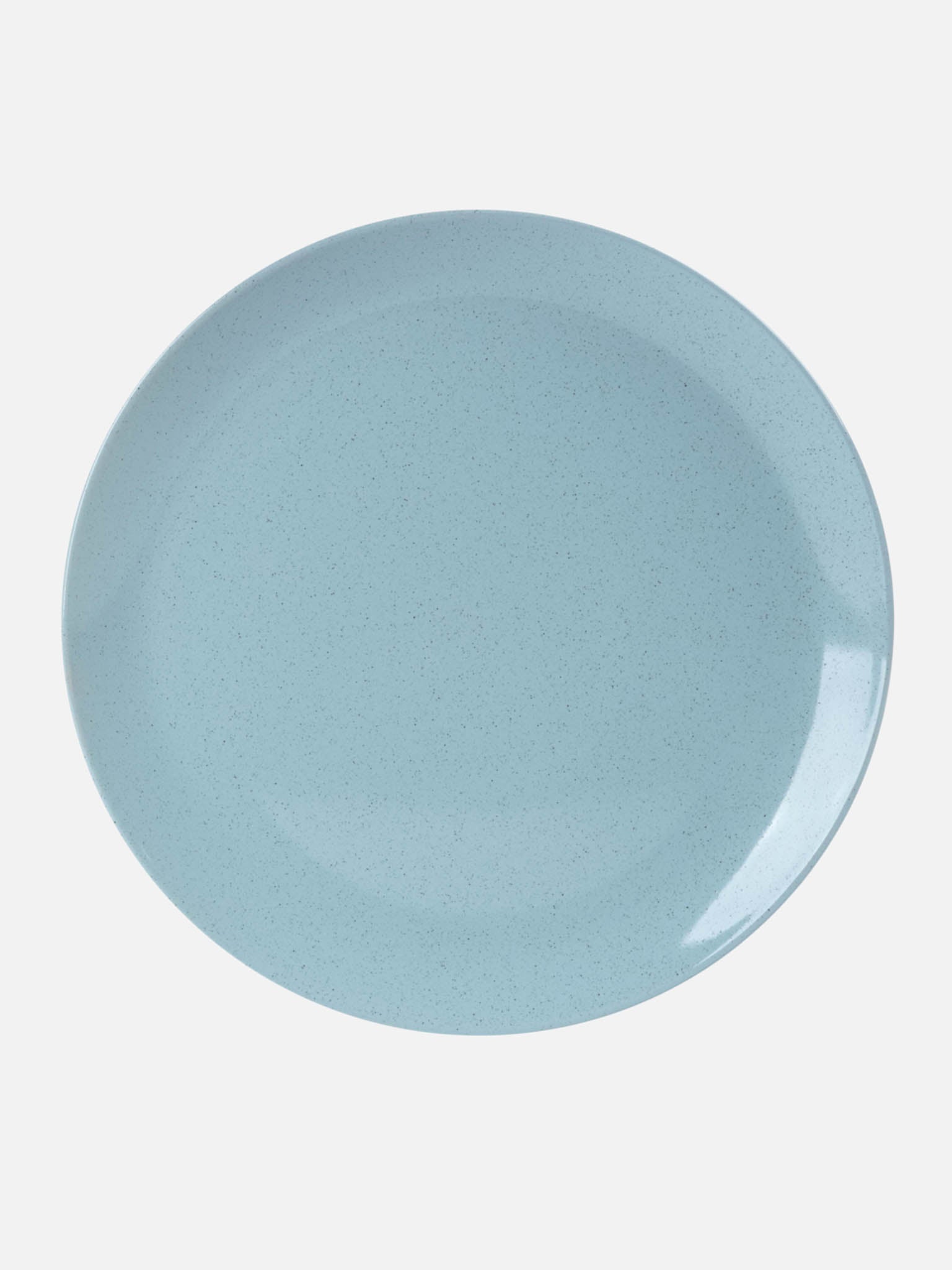 Tstf Ceramic Dinner Plate
