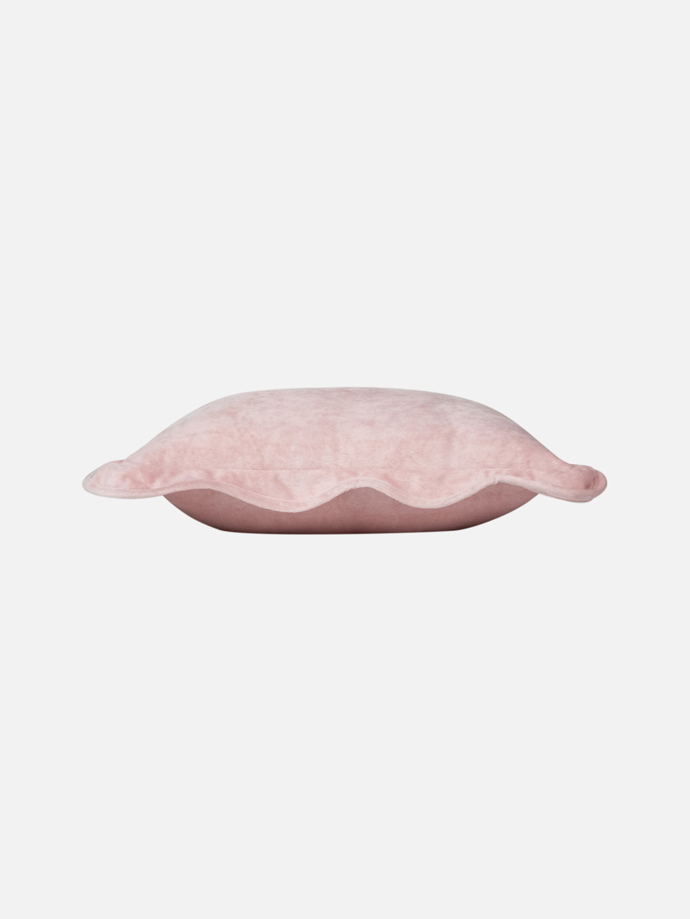 Teri Cushion 24X24in