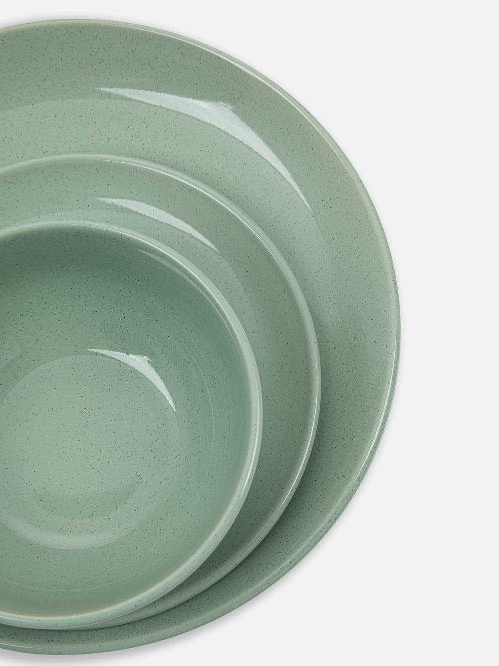 DINNER PLATE SAGE 10.5in