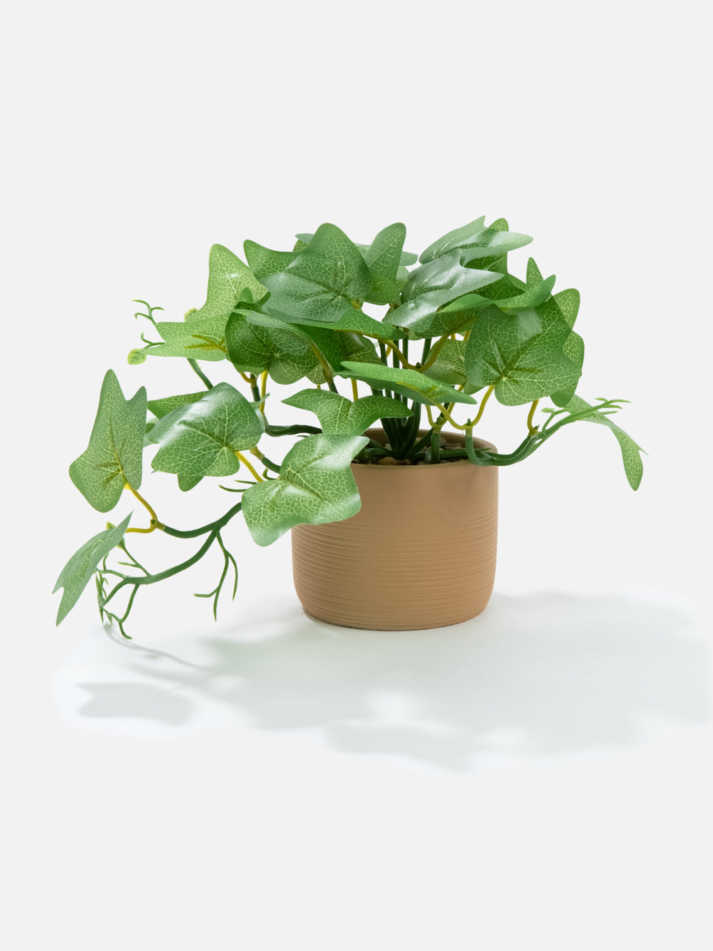 PLANT IN POT TOM 8.7in