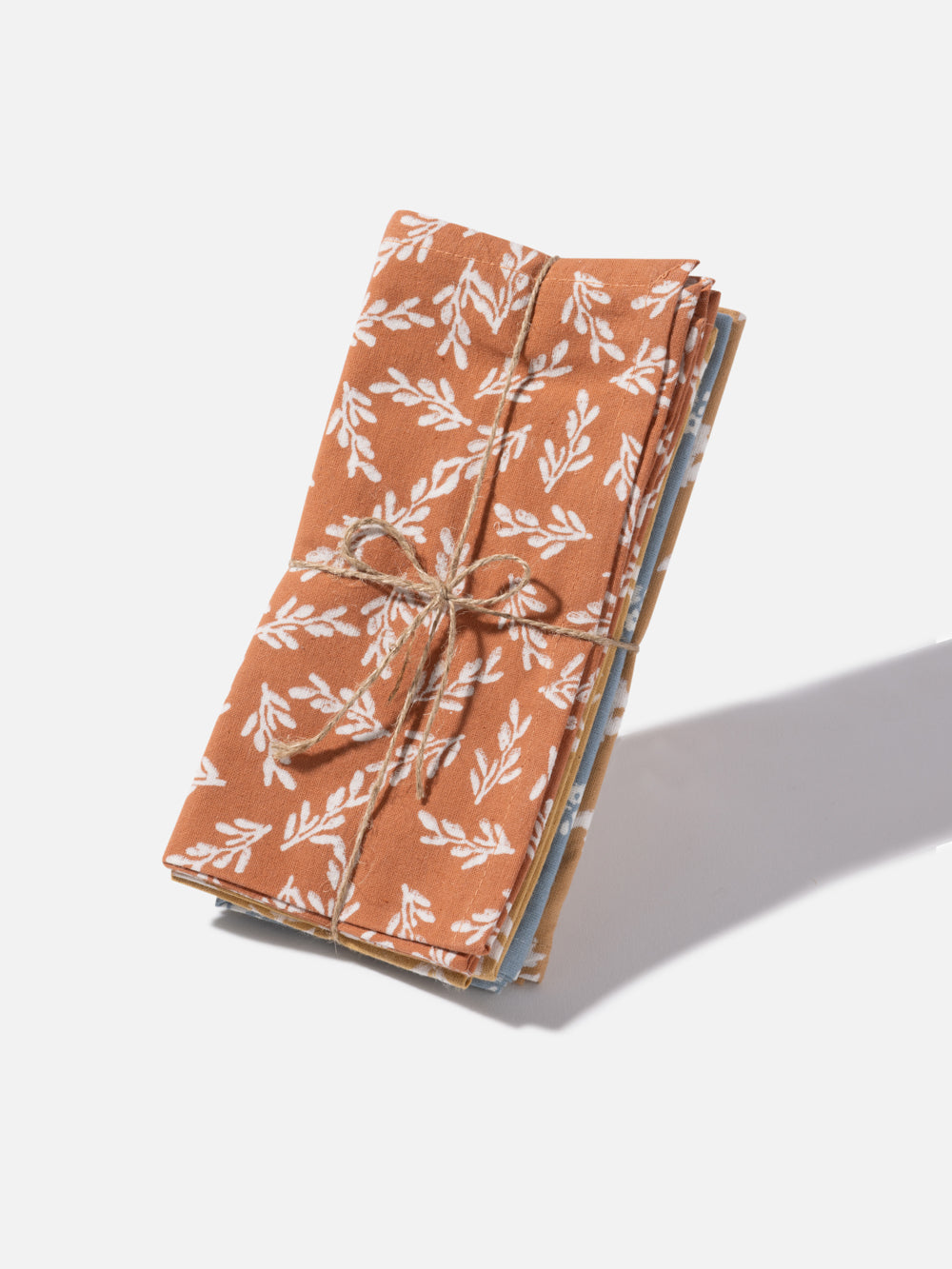 NAPKIN SET *4 DESERT 16*16in