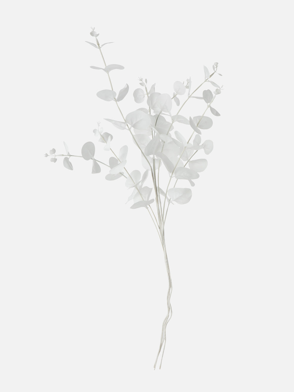 DECOR BRANCH MILKY 23.6in