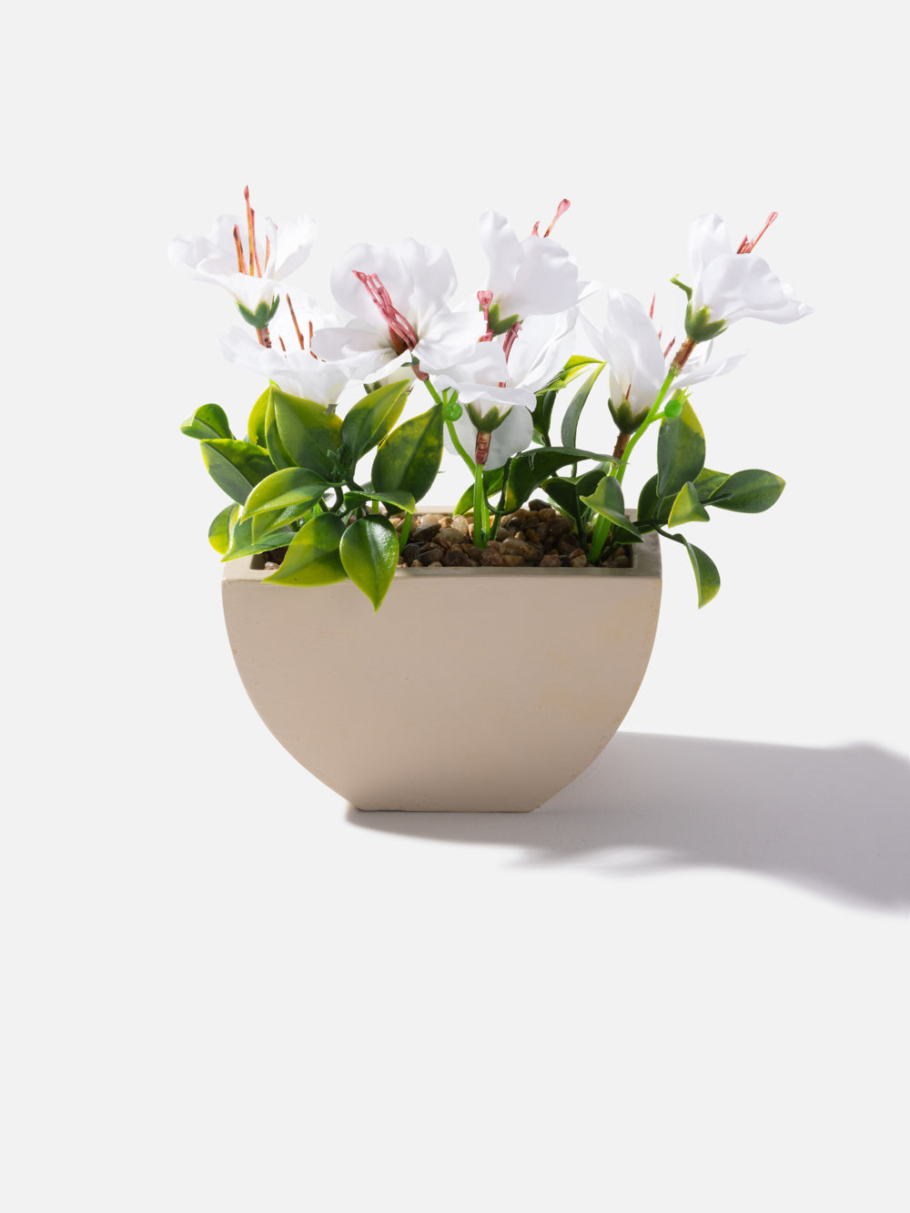 Joan Accent Plant 4.7*6.7in