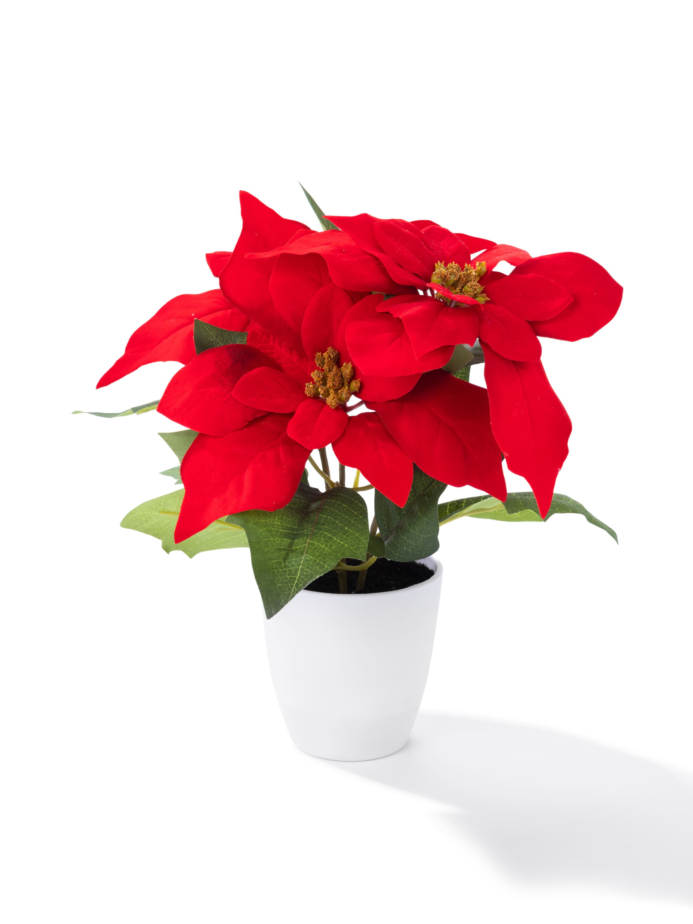 POINSETTIA FLOWER 10.5IN