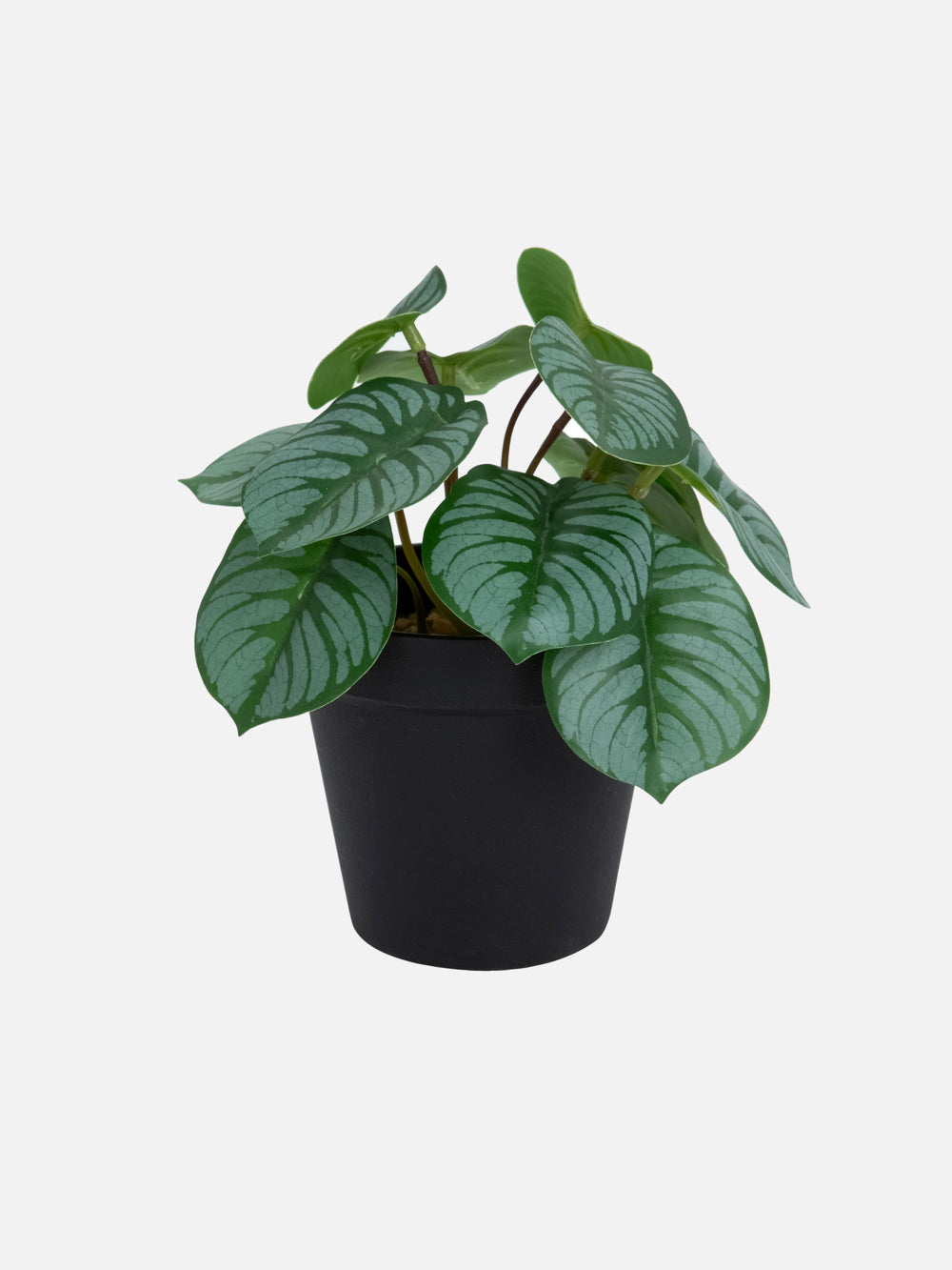 Davy Artificial Plant - FOX HOME CA STORE